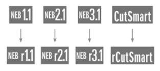 NEB1.1 ->NEBr1.1 / NEB2.1 ->NEBr2.1 / NEB3.1 ->NEBr3.1 / Cutsmart ->rCutsmart