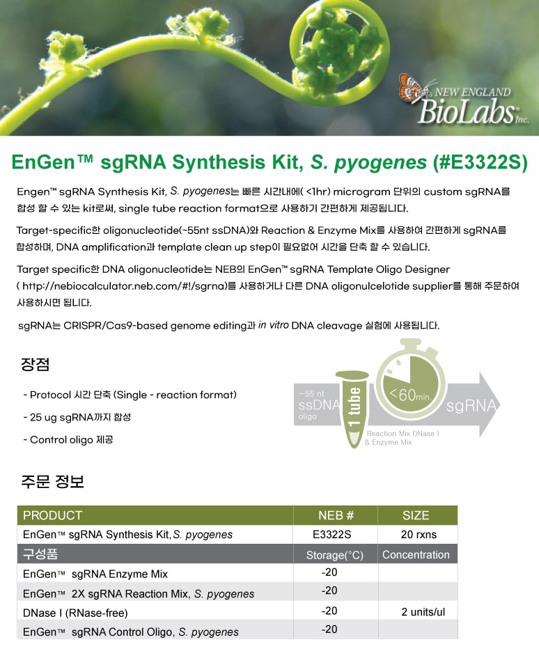 210713_sgRNA-product-descriptions-front