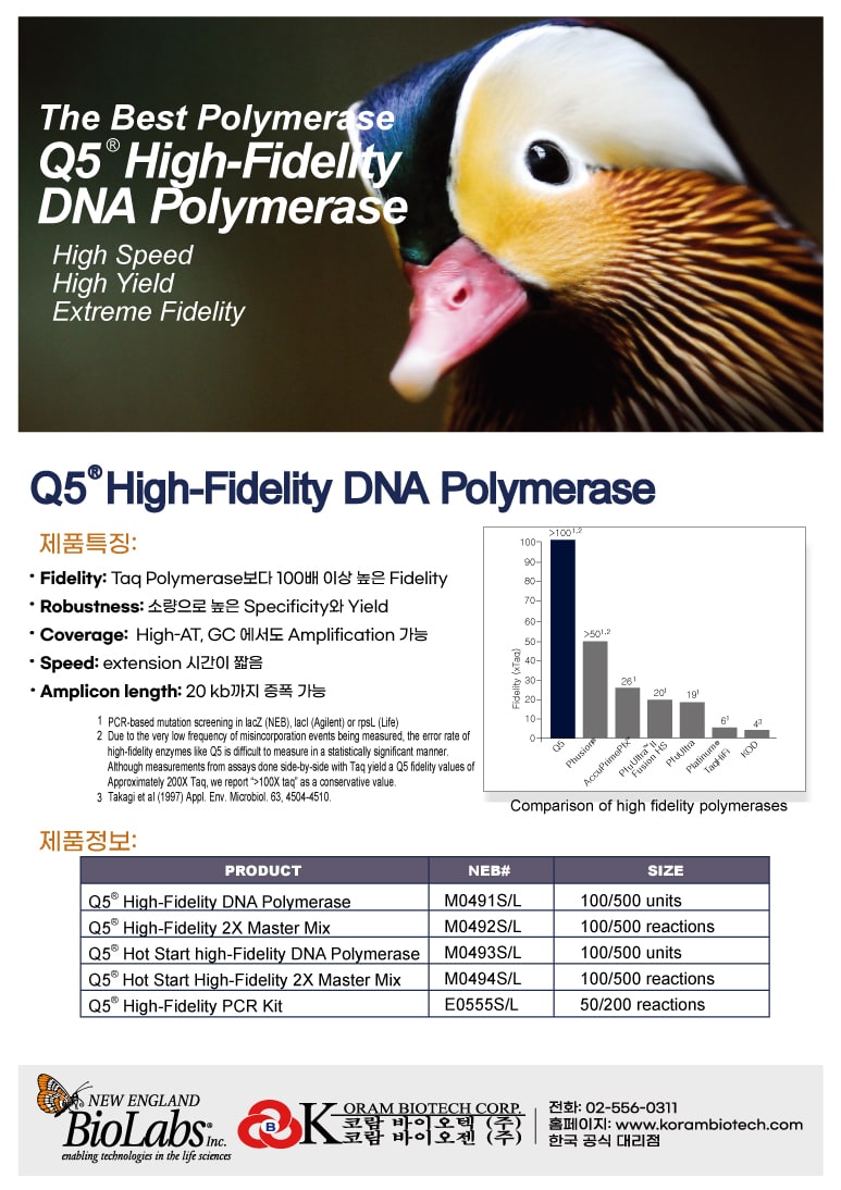 210713_Polymerase-flyer-front