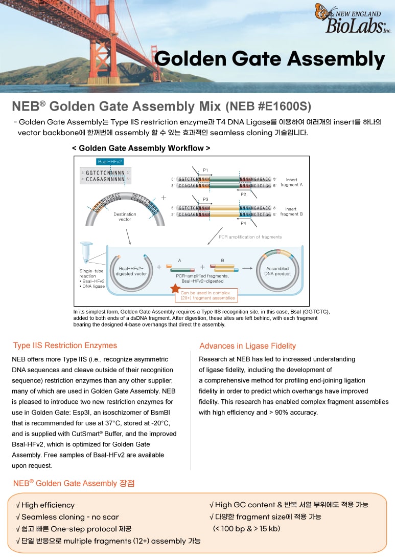 NEB Golden gate assembly mix 소개
