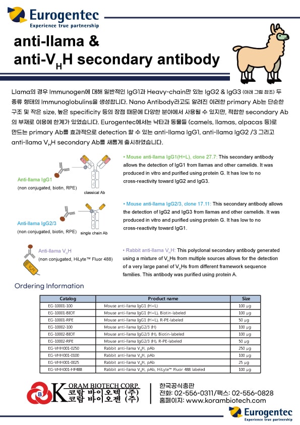 [Eurogentec] 신제품 anti-llama & anti-llama VHH secondary antibody