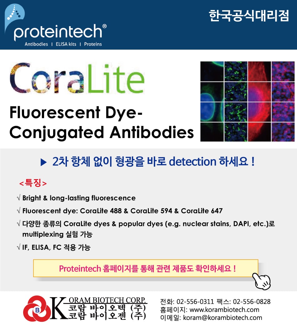 proteintech의 CoraLite 특징