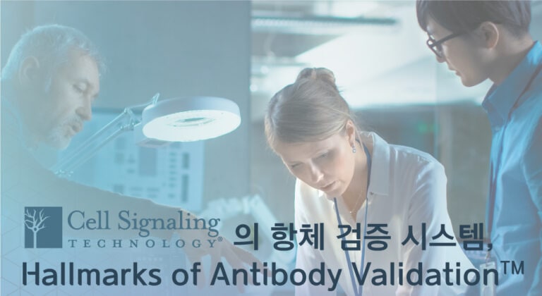 CST-Hallmarks-of-Antibody-Validation