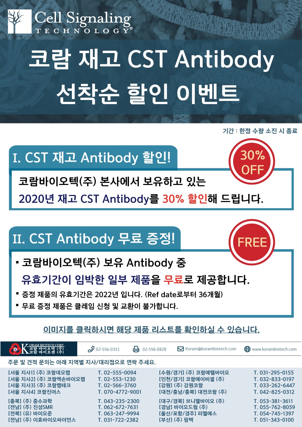 코람 재고 CST Antibody 선착순 할인 이벤트