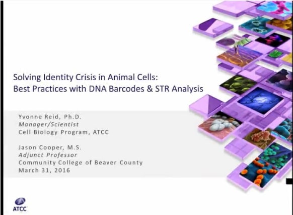 ATCC 동물 세포의 정체성 위기 해결