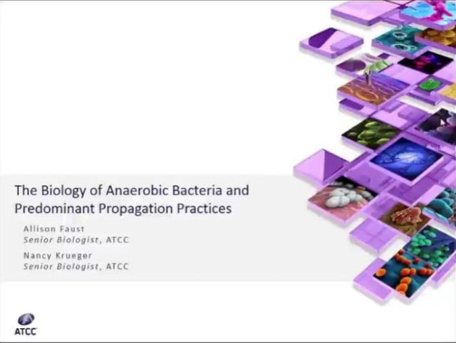 ATCC 혐기성 박테리아의 propagation 방법