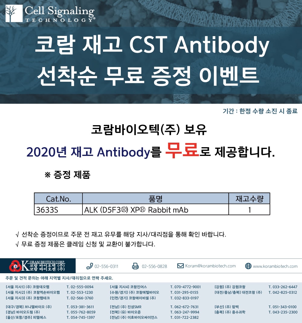 코람 재고 CST Antibody 선착순 무료 증정 이벤트