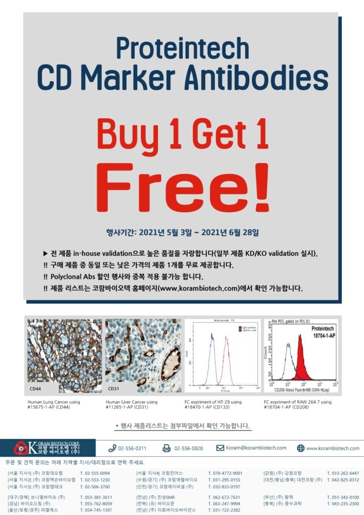 [Proteintech] CD Marker Antibody 할인행사