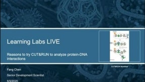 CST 단백질-DNA 상호작용을 분석하기 위해 CUT&RUN을 시도하는 이유
