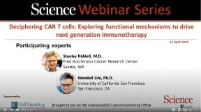 차세대 면역요법을 추진하기 위한 기능적 메커니즘을 탐구하는 CAR-T 세포의 해독