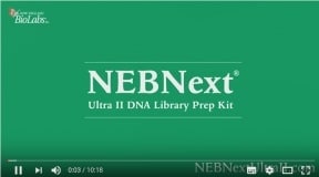 NEB NEBNext Ultra II DNA 라이브러리 준비 프로토콜