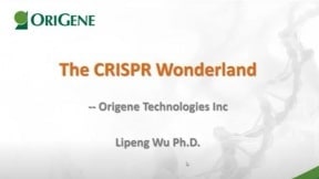 OriGene The CRISPR Wonderland 웨비나