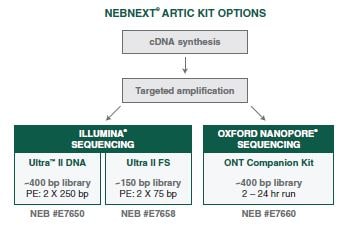 NEB NEBNext ARTIC kits options
