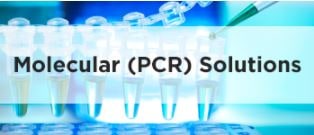 Molecular (PCR) 솔루션