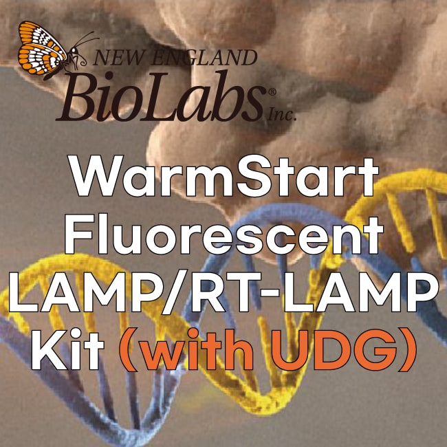 210811WarmStart-Fluorescent-LAMP&RT-LAMP-Kit-(with-UDG)