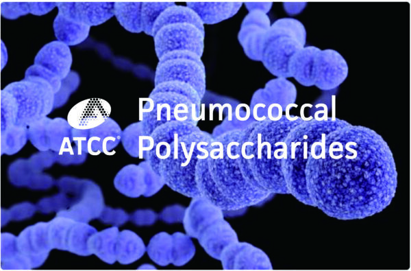 Pneumococcal Polysaccharides-02