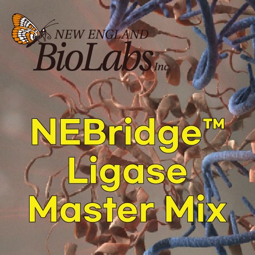 NEB NEBridge Ligase Master Mix
