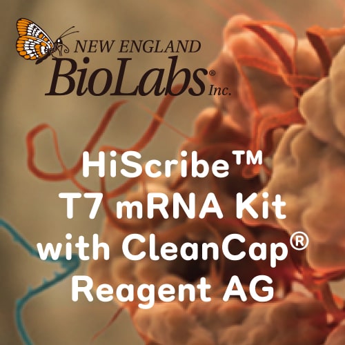 HiScribe™-T7-mRNA-Kit-with-CleanCap®-Reagent-AG