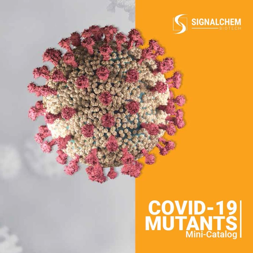COVID-19 Mutants