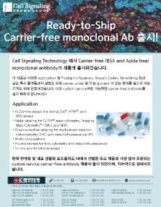 Cell Signaling Technology Carrier-free antibody