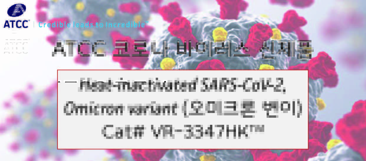 2022_02 SARS-CoV-2 Omicron