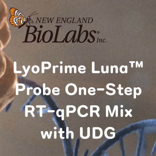 LyoPrime Luna Probe One-Step RT -qPCR Mix with UDG