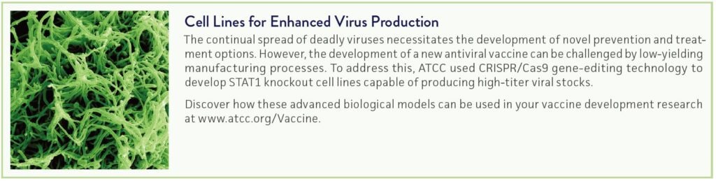 바이러스 생성 개선을 위한 셀 라인