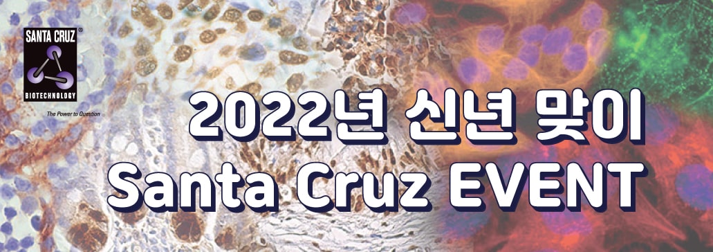 Santa Cruz 2022년 신년 이벤트