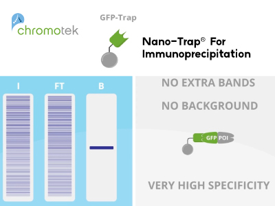 [ChromoTek] Nano-Traps for Immunoprecipitation researchers