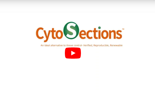 CytoSection 비디오 캡쳐