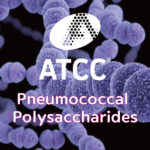 [ATCC] Pneumococcal Polysaccharides는 ATCC에서 구매하세요 (updated 2022.05)