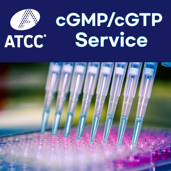 ATCC cGMP cGTP 서비스