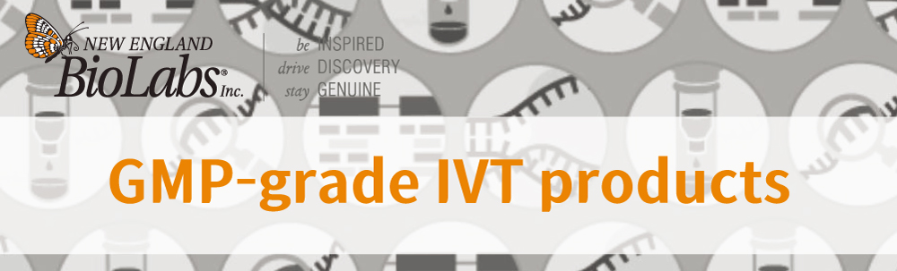 GMP-grade IVT products