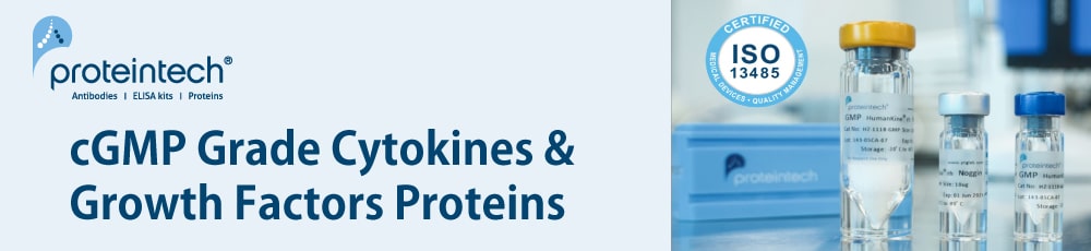 Proteintech cGMP 등급 사이토카인과 성장인자 단백질 배너