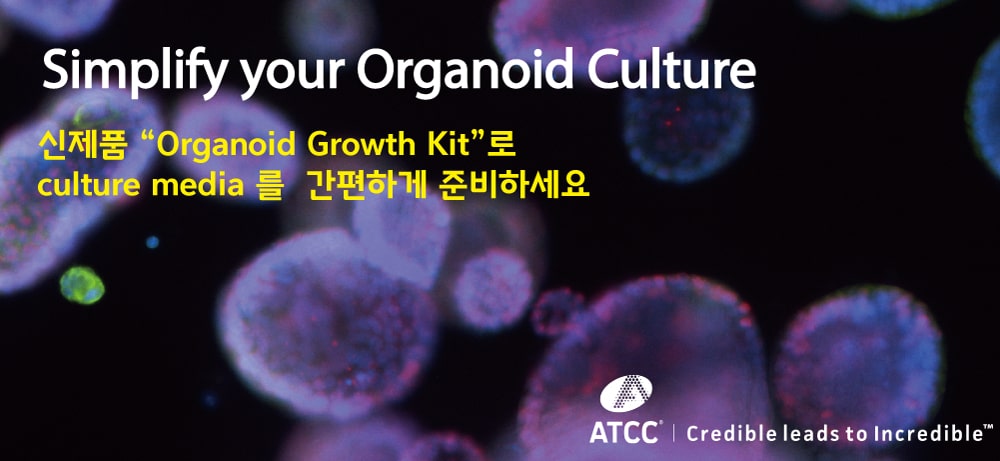 신제품 Organoid growth kit 홍보 배너