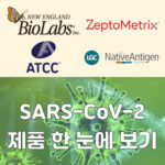 [코로나바이러스 (SARS-CoV-2) 연구 제품 한눈에 살펴 보기]