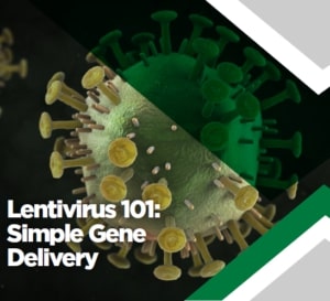 Lentivirus 101