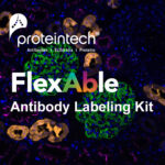 [Proteintech] 실험실에서 10분이면 충분한 Self Antibody Labeling Kits