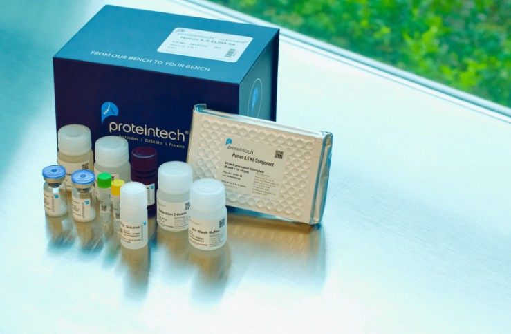 proteintech elisa kits 제품사진
