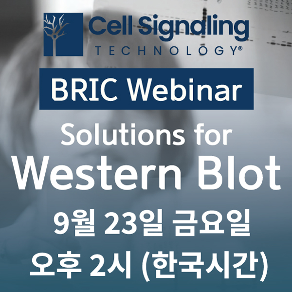 Cell Signaling Technology webinar western blotting
