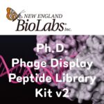 [NEB] Ph.D. Phage Display Peptide Library Kit v2 (updated 2022.11)
