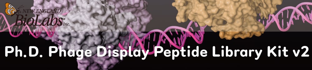 [NEB] Ph.D. Phage Display Peptide Library Kit v2
