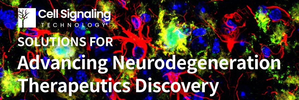 Cell Signaling Technology Solutions for Advancing Neurodegeneration Therapeutics Discovery