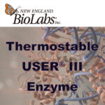 [NEB] Thermostable USER® III Enzyme
