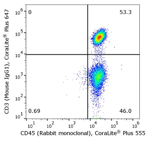 [Proteintech] Self Antibody Labeling for Flow Cytometry CoraLite Plus 555_FACS