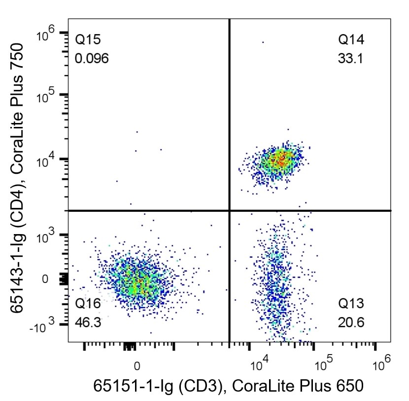 [Proteintech] Self Antibody Labeling for Flow Cytometry CoraLite Plus 650