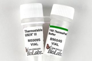 [NEB] Thermostable USER® III Enzyme M5509