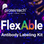 [Proteintech] Self Antibody Labeling for Flow Cytometry