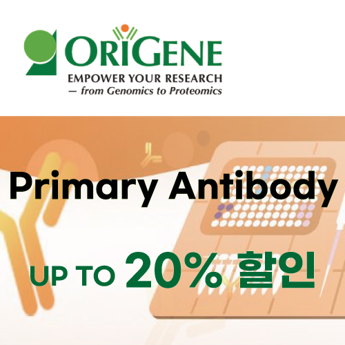 [ORIGENE] Primary Antibody 최대 20% 할인