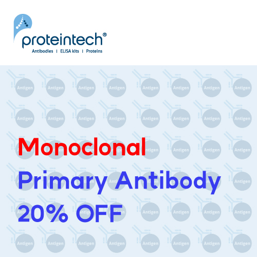 [Proteintech] Monoclonal Primary Antibody 20% 할인